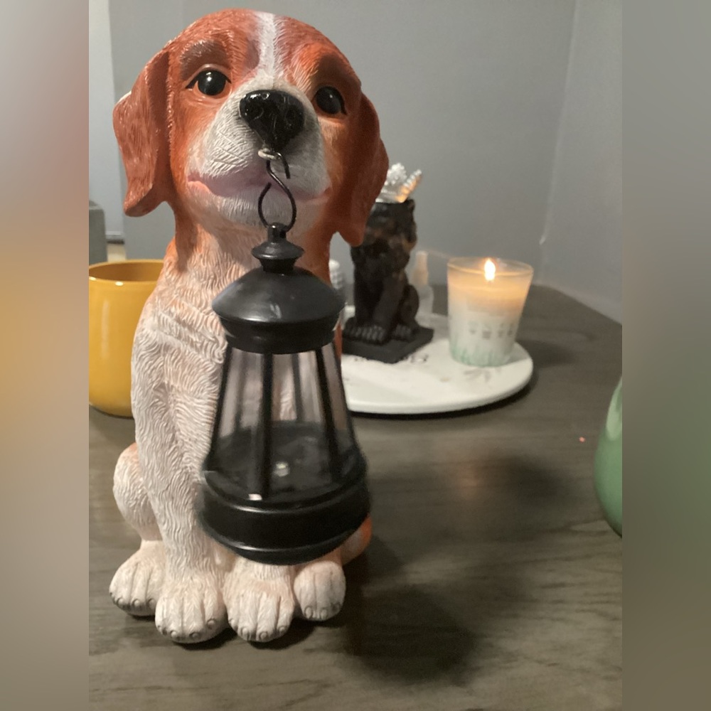 Dog With Solar Lantern - Picture 2 of 4